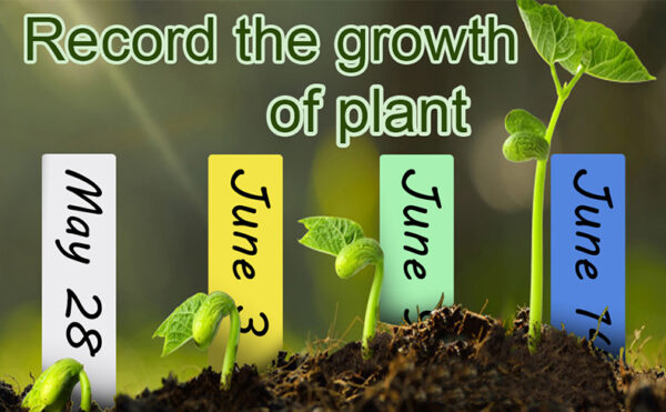 Durable Nursery Plant Tags: Waterproof and Vibrant - Image 5
