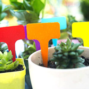 Vibrant and Waterproof Nursery Plant Labels: Designed for Longevity