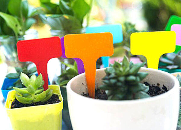 Garden Plant Markers with Waterproof Plastic Material