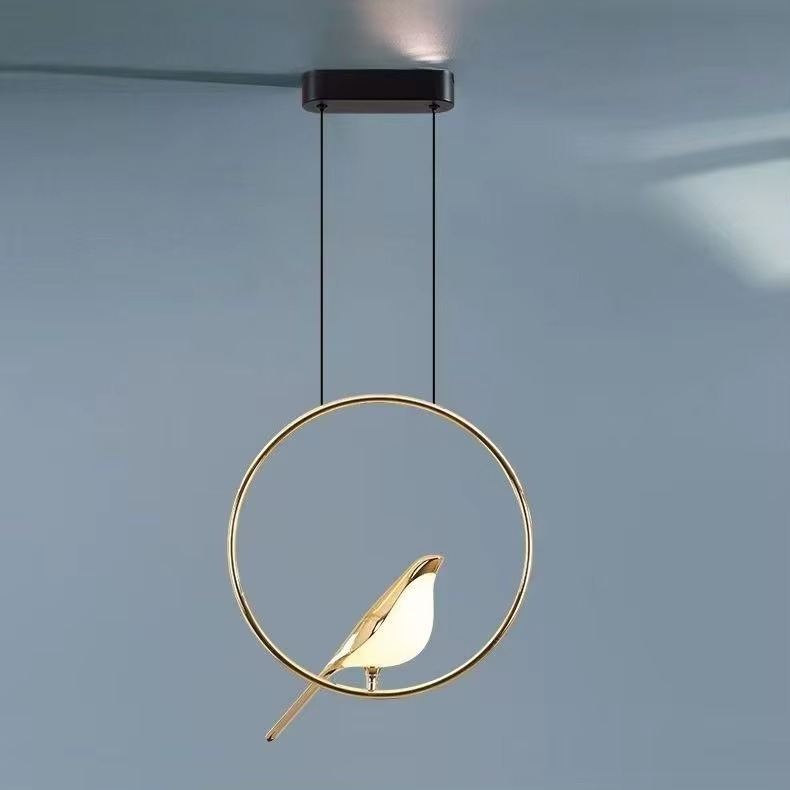 Modern orbit ring pendant light with a circular frame and integrated LED lighting.
